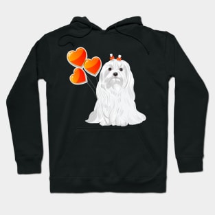 Valentine card with a dog Maltese Hoodie